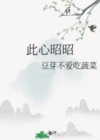 此心昭昭封面
