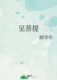 见菩提封面