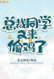 总裁同学又来偷鸡了封面