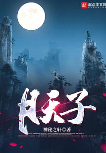 月天子封面