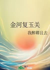 金河覆玉关封面