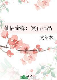 仙侣奇缘：冥石水晶封面