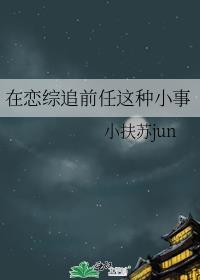 在恋综追前任这种小事封面