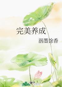 完美养成封面