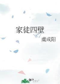 家徒四壁封面