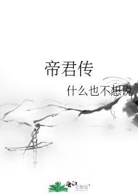 帝君传封面