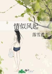 情似风起封面
