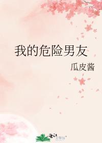 我的危险男友封面