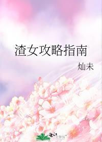 渣女攻略指南封面