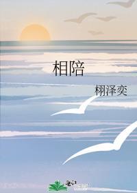 相陪封面