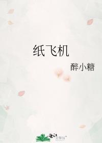 纸飞机封面