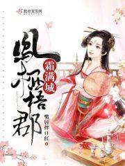 凤栖梧郡霜满城封面