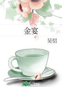金宴封面