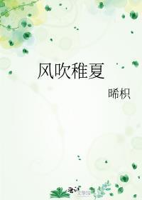 风吹稚夏封面