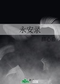 永安录封面