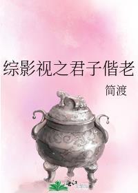 综影视之君子偕老封面