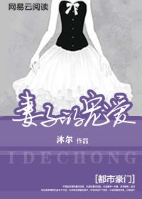 权力首长封面