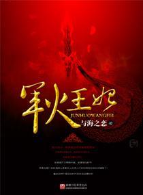 军火王妃封面