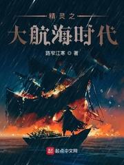 精灵之大航海时代封面
