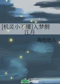 [机灵小不懂]入梦酹江月封面