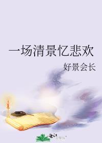 一场清景忆悲欢封面