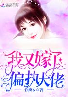 我又嫁了偏执大佬封面
