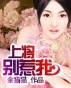 上将别惹我封面