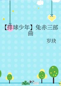 【排球少年】兔赤三部曲封面
