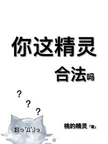 你这精灵，合法吗封面