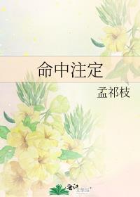 命中註定封面