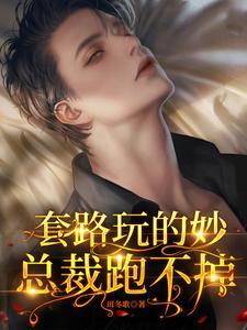 套路玩的妙,总裁跑不掉封面