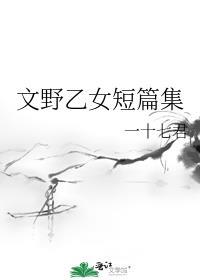 文野乙女短篇集封面