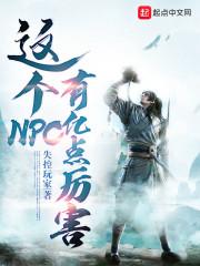这个NPC有亿点厉害封面