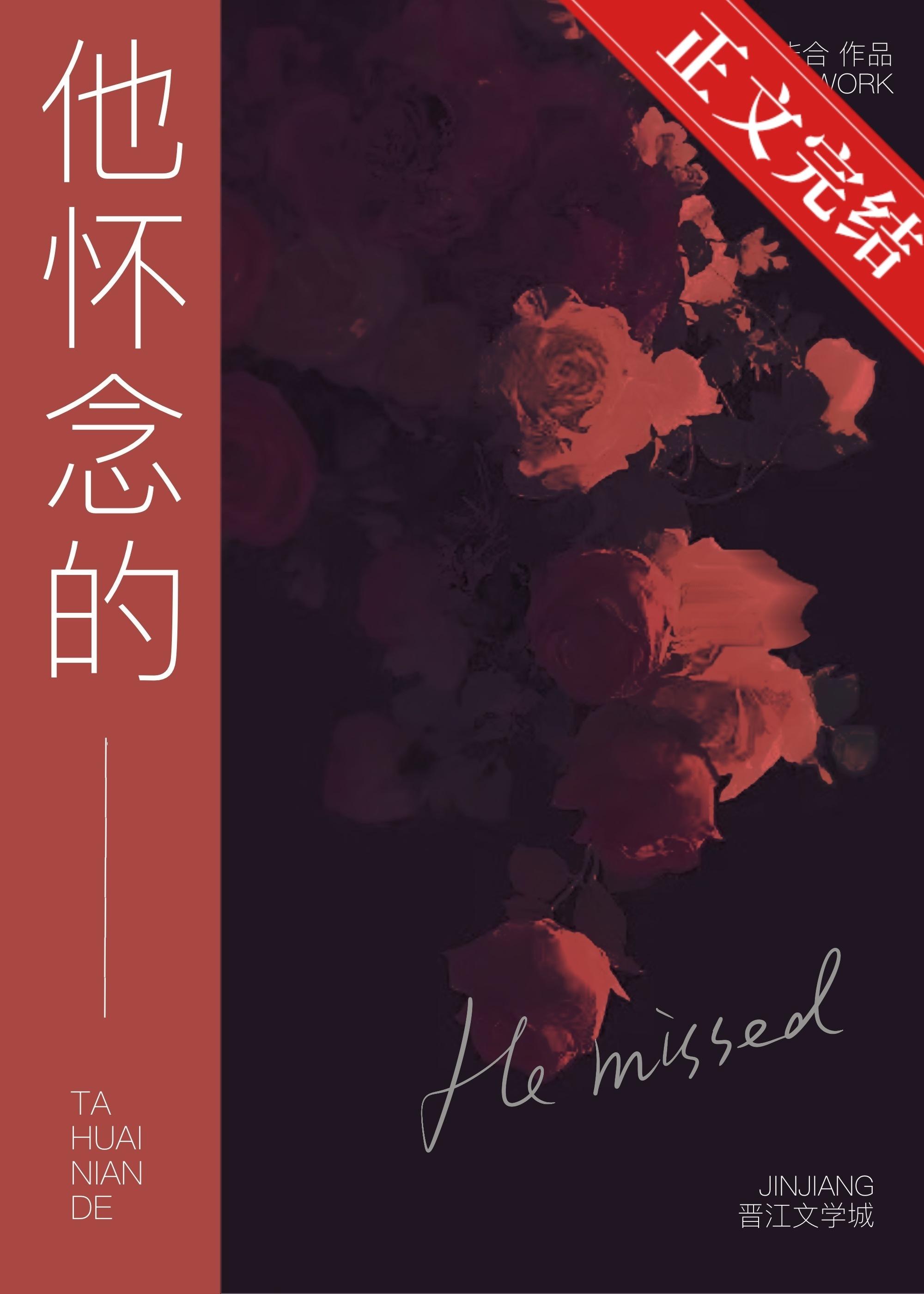 他怀念的封面