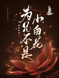 为兄不是小白花封面