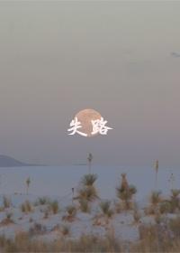 失路封面