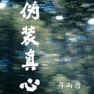 伪装真心封面