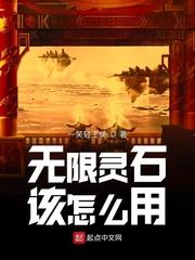无限灵石该怎么用封面