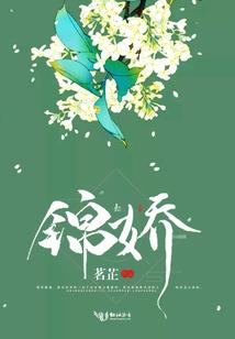 锦娇封面