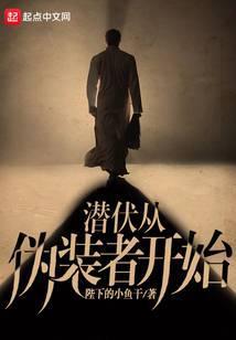 潜伏从伪装者开始封面
