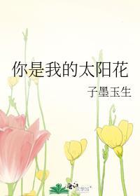 你是我的太阳花封面