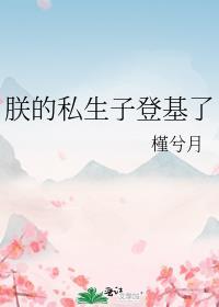 朕的私生子登基了封面