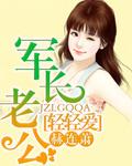 军长老公轻轻爱封面
