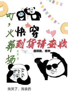 快穿,叮,火葬场到货请查收封面