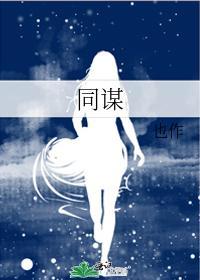 同谋封面