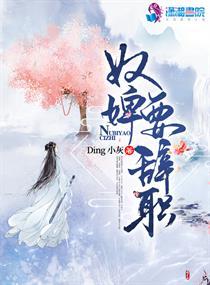 奴婢要辞职封面