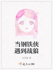 当钢铁侠遇到战狼封面
