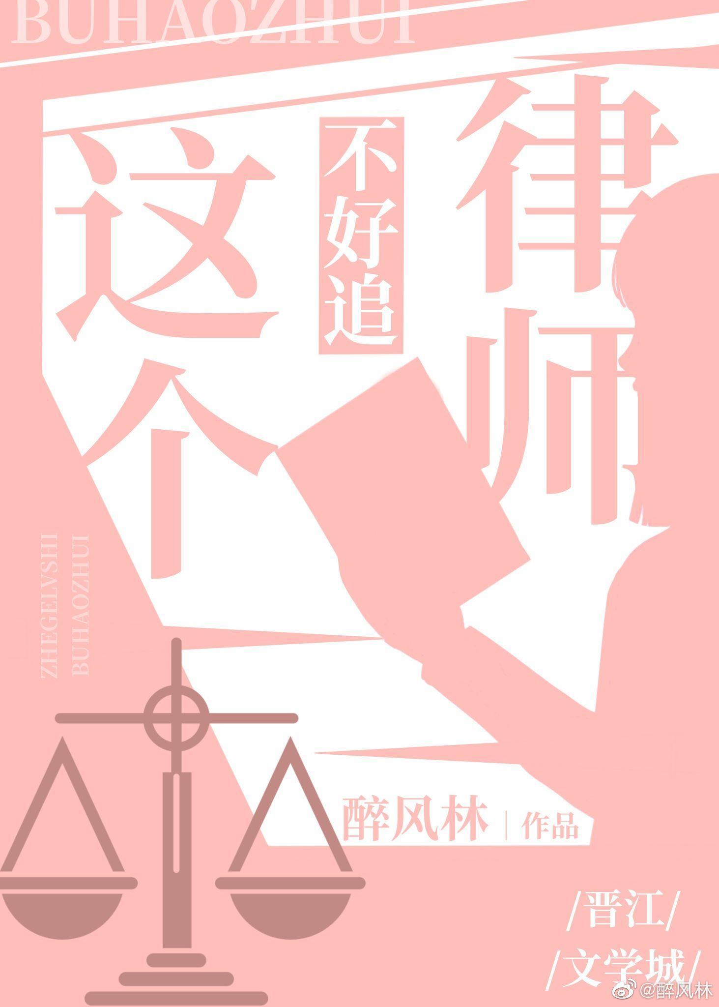 这个律师不好追(GL)封面
