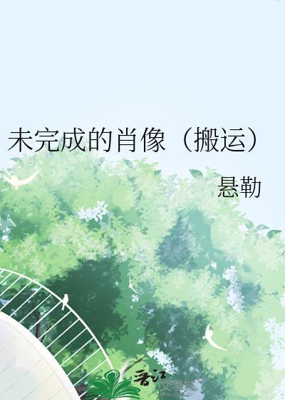未完成的肖像(搬运)封面