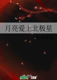 月亮爱上北极星封面